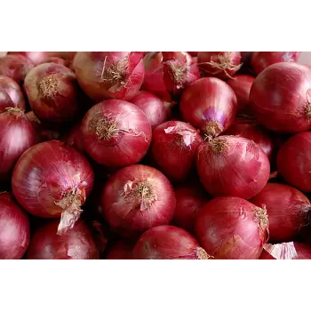 onion (3)-124293-96825.webp